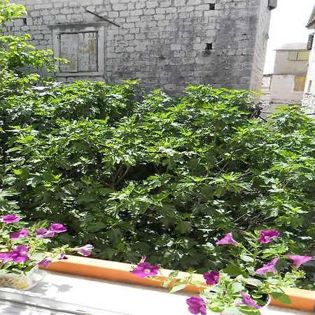 Guest house Ruzica